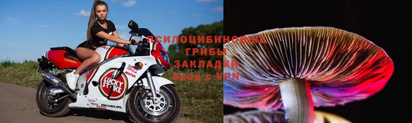 спиды Баксан