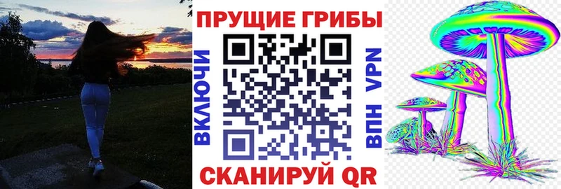 Псилоцибиновые грибы GOLDEN TEACHER  даркнет сайт  Новосокольники 